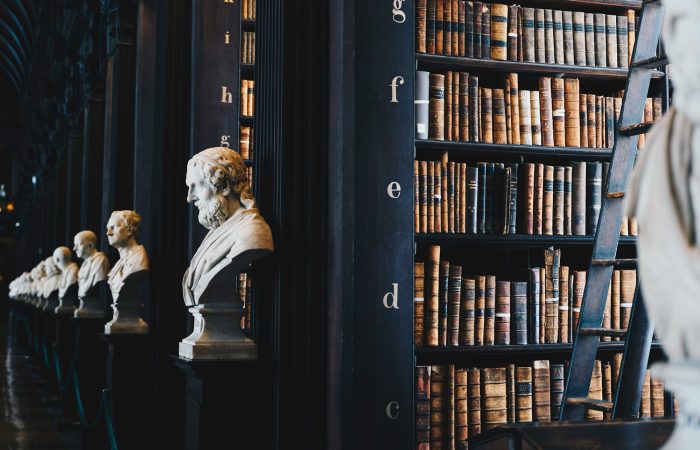 giammarco-boscaro-380907-unsplash 11